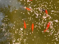 -石岛赤山风景区