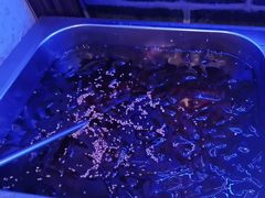 -唇辣号重庆老火锅(燕郊鑫乐汇店)