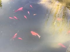 -林海公园