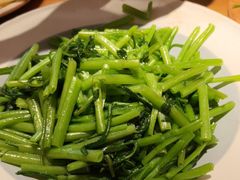 -鸽子窝(宋庄店)