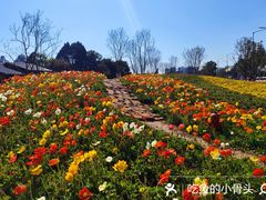 -昆明市金殿名胜区