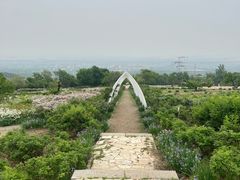 -紫云台香草园