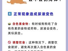 -守诺宠物医院·眼科· 神经外科·爬宠专科(虹口店)
