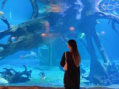 -华夏文旅海洋公园