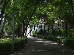 -西宁市人民公园(城西区)