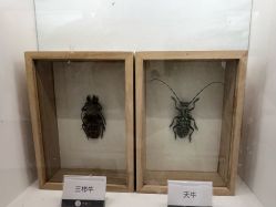 -酷嗒动物文化乐园(cutezoo西溪乐天城店)