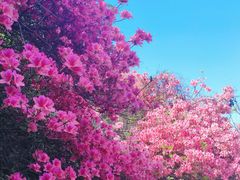 -木兰云雾山
