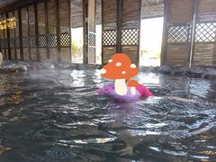 -春晖园度假酒店温泉