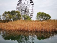 -苏州太湖湖滨国家湿地公园