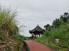-五凤溪古镇