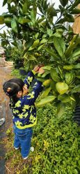-前小桔亲子创意农场·草莓采摘·露营烧烤