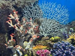 -福州罗源湾海洋世界旅游区