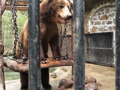 -海南热带野生动植物园