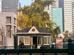 -首都医科大学附属北京儿童医院