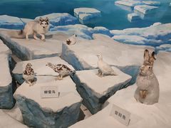 -陕西自然博物馆