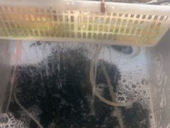 -金三可市井水煮鱼(金碧园店)