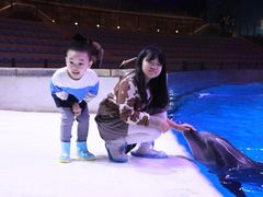 -哈尔滨波塞冬海底世界