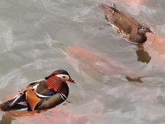 -知味观(湖滨总店)