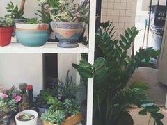 -JUICE  TIMES(中茵海华店)