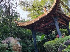 -广州兰圃