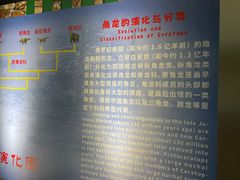 -诸城市恐龙博物馆