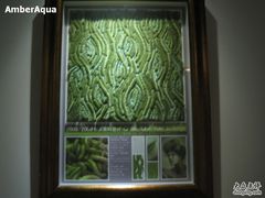 -上海纺织博物馆