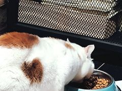 -B.O.M波姆烘焙(凤凰街店)