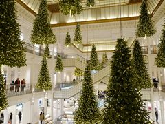 -乐蓬马歇百货公司(Rive Gauche)