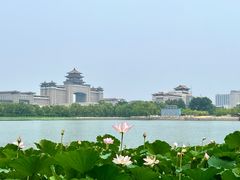 -莲花池公园