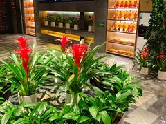 -大鸭梨烤鸭(枣园店)