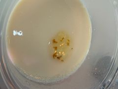 -福巷湘食小馆·猛火现炒(上海首店)