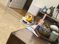 -爱派特动物医院·全科诊疗中心