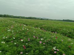 -山明水秀大饭店