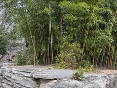 -习家池