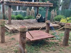 -大连森林动物园