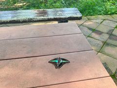 -南京金牛湖风景区