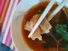 -大中鱼翅 Taitong Shark Fin