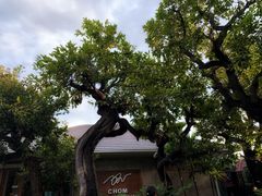 -Chom Cafe and Restaurant