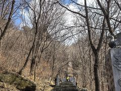 -五女山景区