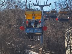 -富斯特索道