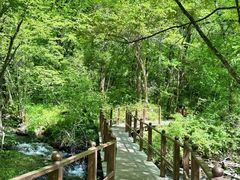 -叠溪松坪沟景区