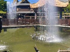 -呀路古热带植物园