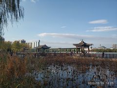 -莲花池公园