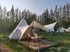 -前小桔亲子创意农场·草莓采摘·露营烧烤