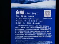 -泉城欧乐堡海洋极地世界