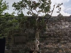 -昆明市金殿名胜区