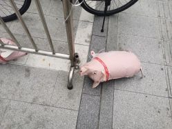 -颜和骨正&明星徒手小颜整骨