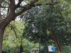 -墨尔本皇家植物园