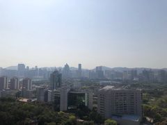 -仙岳公园