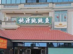 -桃源跳跳鱼